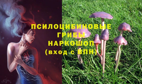 наркотики Алзамай