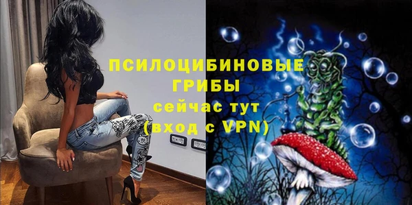 гидра Алексеевка