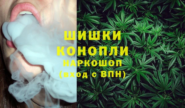 гидра Алексеевка