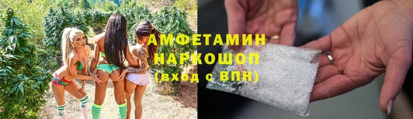 хмурый Алексин