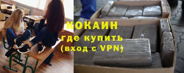 гидра Алексеевка