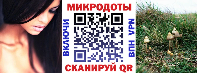 Галлюциногенные грибы MAGIC MUSHROOMS  мега ССЫЛКА  Нарьян-Мар 